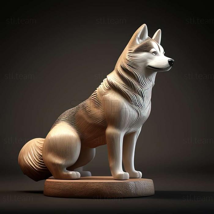 WeSiberian Husky собака